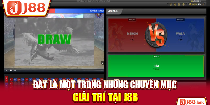 Đây là một trong những chuyên mục giải trí tại J88