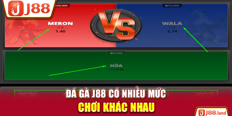 Đá gà J88 có nhiều mức chơi khác nhau