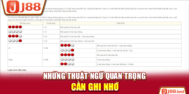 Những thuật ngữ quan trọng cần ghi nhớ