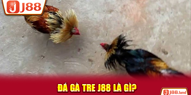 Đá gà tre J88 là gì?